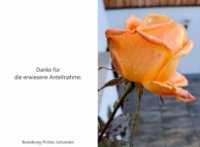 eine Anzeige