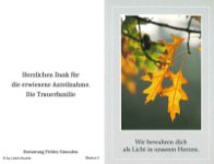 eine Anzeige
